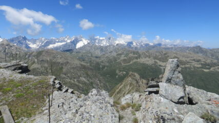 vetta