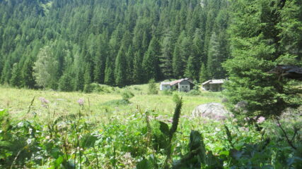 Montagna Alta