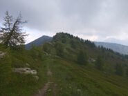 Il crinale verso Cima Missun (m.2356)