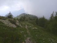 Discesa dopo la Cima di Velega (m.2382)
