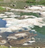 Lago ancora in disgelo 