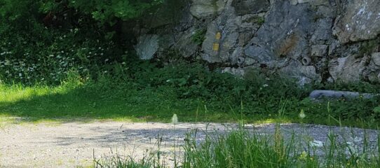 Tornante con cartello buttato a terra contro il muro e segnaletica 19