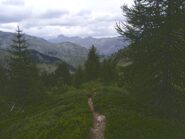 Discesa dal Colle di Stau verso Ferrere 