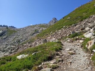Salita verso il Rifugio Questa 