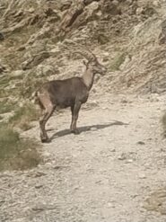 incontri ravvicinati