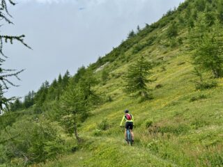 Primo traverso sentiero 