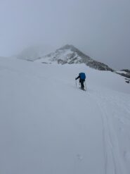 Ancora un po' di visibilità...