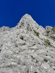 Dalla base del pilastro