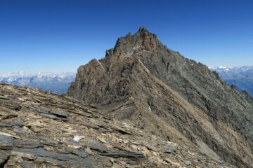 la Grivola dalla cima