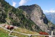 Visti dall’Alpe Bonze: il Monte Bo, il Col de la Liet e il percorso del sentiero 4A che scende nel canalone a sinistra