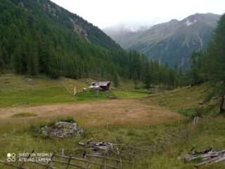 Arrivo a malga Mastaun