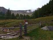 Arrivati a malga Lavez, cartelli indirizzano verso il pascolo