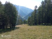 Salendo la radura sopra malga del bosco
