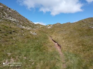 finalmente fuori dal bosco, verso la sommità del dosso boschivo