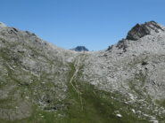 salitina per il Reissassetto