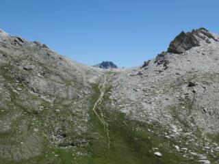 salitina per il Reissassetto