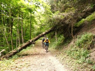 A poca distanza dall'arrivo a Bassura