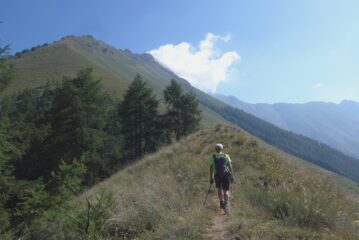 Parte iniziale