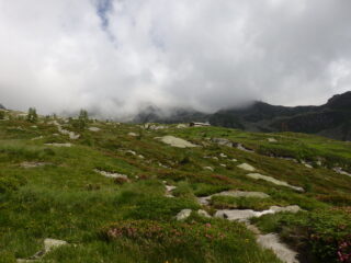 Salendo al Rifugio Massero, fortuna che ci sono le nuvole col caldo che fa!