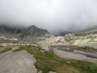 L'ambiente cambia man mano che si sale