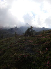 La vetta avvolta dalle nubi (un po' meno rispetto a quando eravamo in cima)