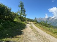 salendo la sterrata per la Rocca Bianca (parte alta oltre il bosco)