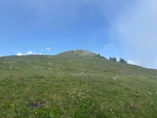 Rocca Bianca dal rudere
