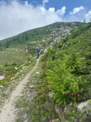 la magnifica strada per il lago d'Envie (2)