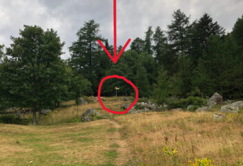 Lasciando alle spalle San Grato, dietro le baite di Ruassi, si intravede nel bosco la palina con le indicazioni per il GSW (grande sentiero walser) e per l'alpeggio di Galm.