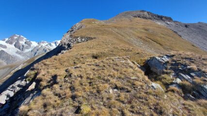 parte alta del percorso