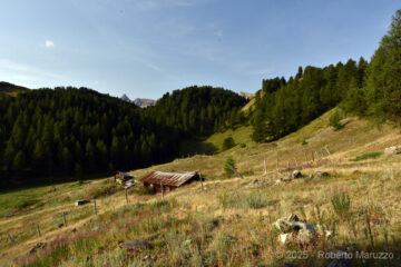 Poco dopo la partenza 