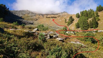 Qui si lascia il sentiero