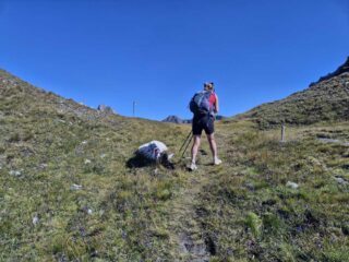 col d'arpalle