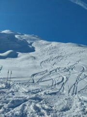 Discesa in polvere spettacolare