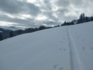 Bella neve all'inizio