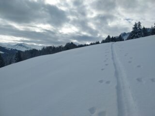 Bella neve all'inizio