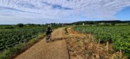 10^ tappa tra i vigneti della Borgogna