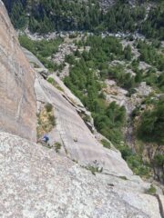 Cordata sulla placca di L3