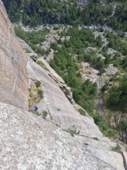 Cordata sulla placca di L3