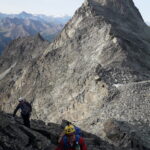 e' tempo di legarsi ormai..