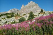 Il Chersogno da Grange Chiotti 