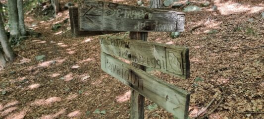 unico cartello lungo il sentiero nel bosco