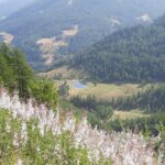 dal sentiero balcone 