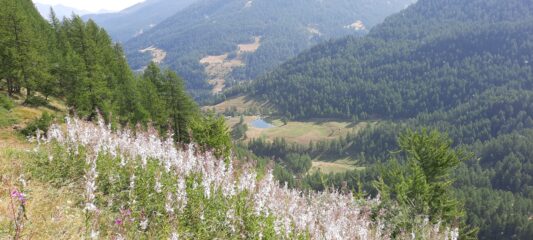 dal sentiero balcone 