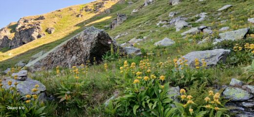 Verso il colle