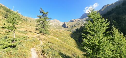 A metà vallone