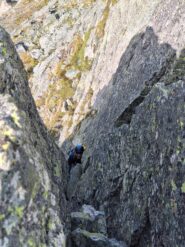 Nel camino
