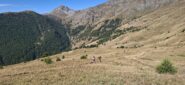 Poi si esce su terreno aperto