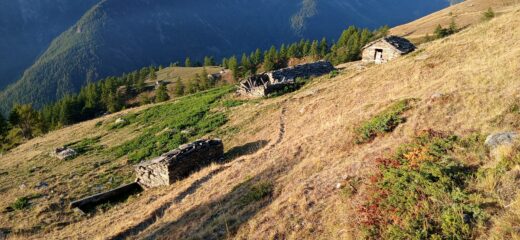 Alpe Vasuera inf.