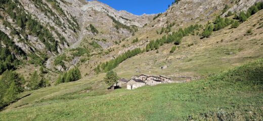 Alpe Crosenna